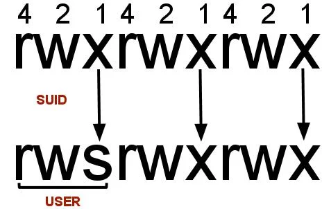 cara setting SUID permisison di linux